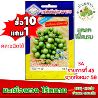 (ซื้อ10แถม1) เมล็ดพันธุ์ มะเขือพวง ไร้หนาม Plate Brush Egg Plant ประมาณ 80เมล็ด 3A สามเอ ผักสวนครัว เมล็ดพันธุ์พืช เมล็ดผัก เม็ดผัก พืชผัก