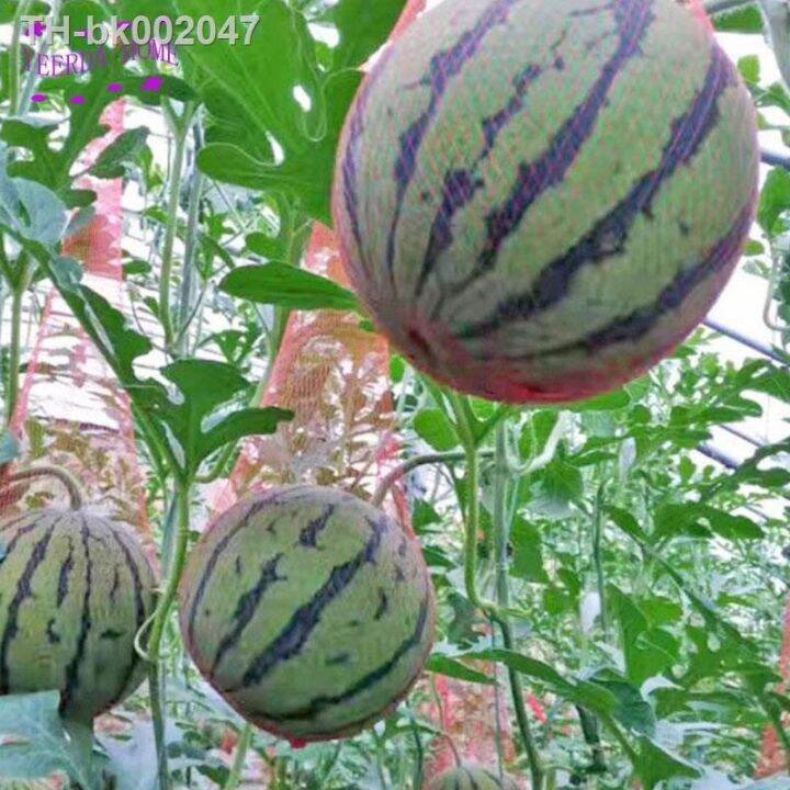 100pcs-reusable-red-gardening-net-plastic-mesh-bags-of-fruit-string-watermelon-grown-bag-fruit-growth-mesh-4-size