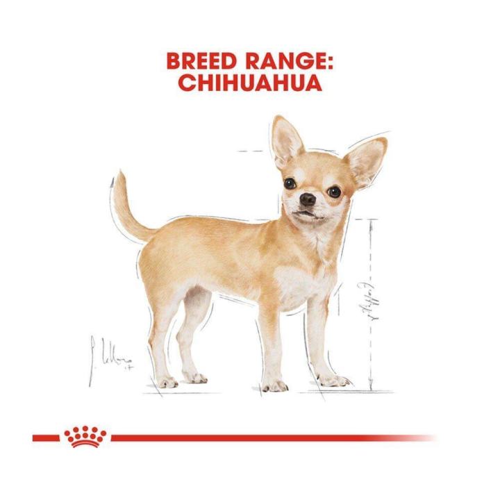 ยกโหล-12-ซอง-royal-canin-chihuahua-pouch-dog-food-อาหารเปียกชิวาว่า-อาหารสุนัข-สำหรับอายุ-8-เดือนขึ้นไป-85-กรัม