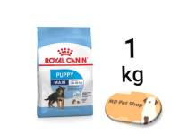 (ฟรีของแถม) Royal Canin Maxi Puppy 1Kg โรยัล คานิน สูตรลูกสุนัชพันธุ์ใหญ่ ขนาด 1 กิโลกรัม