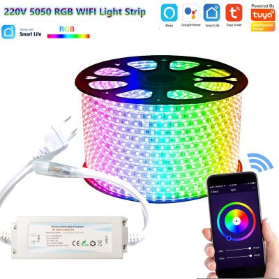 220V 230V Tuya Smart Life SMD5050 RGB CCT LED Strip Light Wifi Voice Contol Dimmer Outdoor Garden Lights for Alexa Google Home LED Strip Lighting
