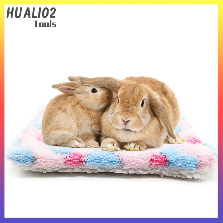huali02-สัตว์ขนาดเล็กกินีหมูหนูแฮมสเตอร์เตียงกระรอกเม่นกระต่าย-chinchilla-เสื่อรัง