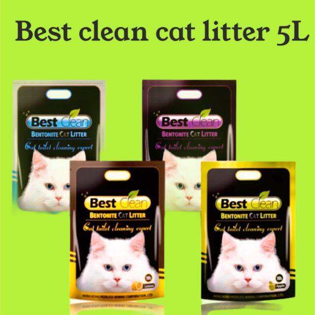 5L Repacked Best Clean Bentonite Cat litter Lazada PH