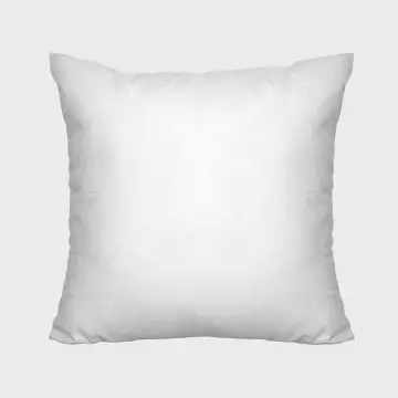 Buy HM Cushion Insert Online lazada Jan 2024