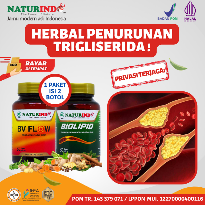 Obat Herbal Penurun Kolestrol Tinggi Trigliserida Melancarkan Peredaran ...