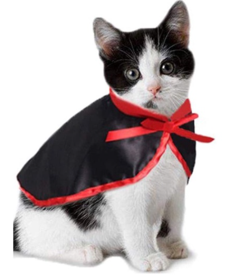 ชุดฮาโลวีนแมว-ชุดแฟนซีแมว-ชุดฮาโลวีน-เสื้อผ้าแมว-เสื้อผ้าสัตว์เลี้ยง-ของใช้แมว-ชุดหมวกและผ้าพันคอหมวกฮาโลวีนสําหรับสุนัขและแมว