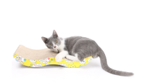 [PetPet J]ที่ลับเล็บแมว แบบหลังเต่า 1 ชิ้น ที่ลับเล็บแมว Cat toy ของเล่นแมว ( แถมฟรี! Catnip กัญชาแมว 1 ถุง ) ลูกฟูกลับเล็บแมว รูปคลื่น สำหรับแมวทุกวัย 44*21*