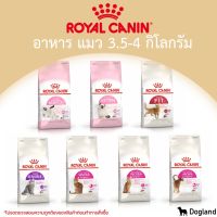 ⚘Royal Canin Cat อาหารแมว (3.5-4 กิโล)✥