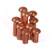 Standard Parts GB109 Flat Copper Rivets Copper Nails Solid Rivets M4 M5 Flat Cap Copper Nails 10 Pcs