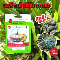 เมล็ดพันธ์ุกบดำกบแดง - ฟักทอง OP ( ผักซอง , เมล็ดพันธุ์ปักราคาถูก พร้อมส่ง )