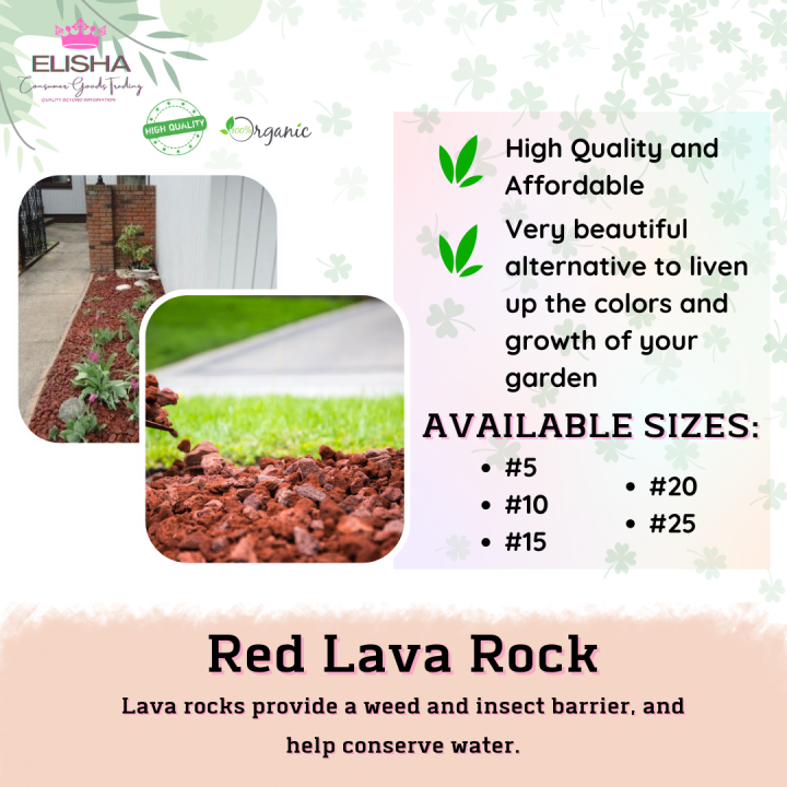 ELISHA L Best Seller Red Lava Rock Size 5 10 15 20 25 1 KG L Aquarium And Succulents Yung