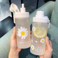 New 500m Cute Daisy Plastic Water Bottles With Straw Portable Clear Frosted BPA Free Water Bottle For Kids Students Drinking Cup