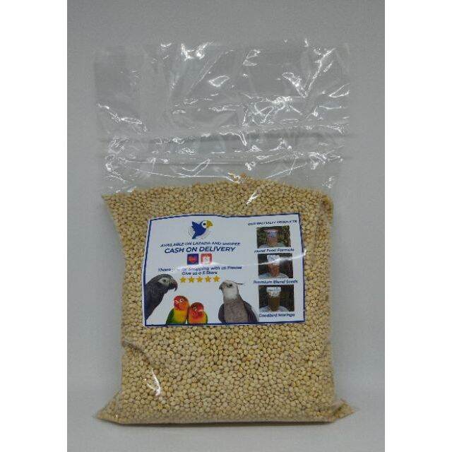White Millet Seeds For Budgies, African Love Birds, Canary, Cockatiels