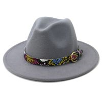 Hot Sell Winter New Arrivel Grass Green Lake Blue Woolen Felt Fedora Hat For Women Men Wide Brim Jazz Panama Hat