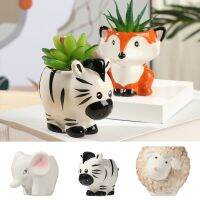ของขวัญ MEROFA เครื่องประดับสวนการ์ตูนขนาดเล็กสัตว์น่ารักเซรามิกส์กระถางต้นไม้ฉ่ำ