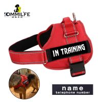 【DT】Nylon Reflective Dog Harness Personalized Breathable Dog Harness With ID Name Tag Pet Harness for Small Medium Large Dogs hot 1