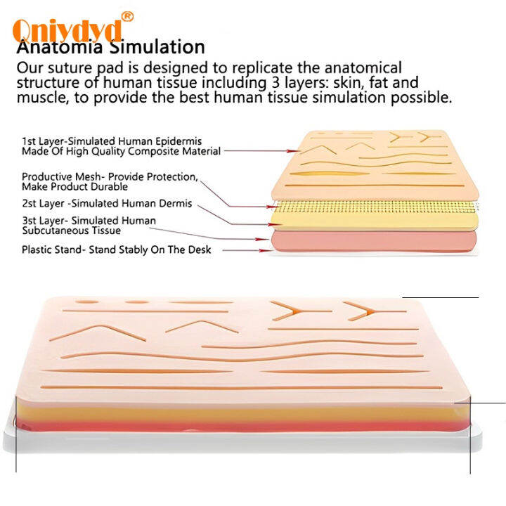 ชุดฝึกเย็บแผลผ่าตัดสำหรับการฝึกทางการแพทย์-แผลจำลองซิลิโคนทำซ้ำได้พร้อมชุดเย็บแผล