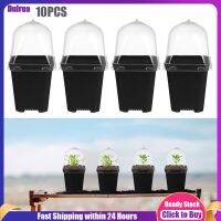 Dulrua 10Pcs Pot Small Square Planting Container With Humidity Dome Transplanting Flower Planter For Home Garden Shop ซื้อทันทีเพิ่มลงในรถเข็น