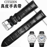 นาฬิกาข้อมือ Citizen สายหนังพร้อมหัวล็อคหัวเข็มชายและหญิงพลังงานจลน์แสงเข็มสีน้ำเงินขนาดเล็กสายหัวเข็มขัดรูปผีเสื้อ 20 22 23 มม.