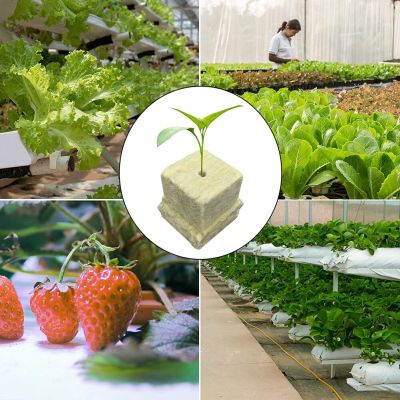 ；【‘； 50Pcs Soilles Planting Sponge Grow Garden Starter Cubes Rock Wool Plug Soilless Culture Substrate Transplanting Cultivation Tool