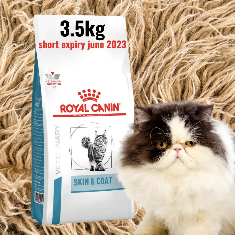 Royal canin skin and best sale coat cat