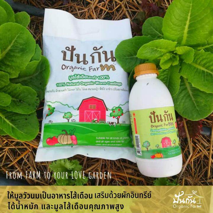 ฟรีค่าจัดส่ง-ชุดฟื้นฟู-มูลไส้เดือน-1กก-น้ำหมักชีวภาพ-เข้มข้นจากมูลไส้เดือน-ขนาด-1ลิตร-แถมฟรี-เมล็ดพันธุ์ผัก-บำรุงพืช-ฟื้นฟูดิน