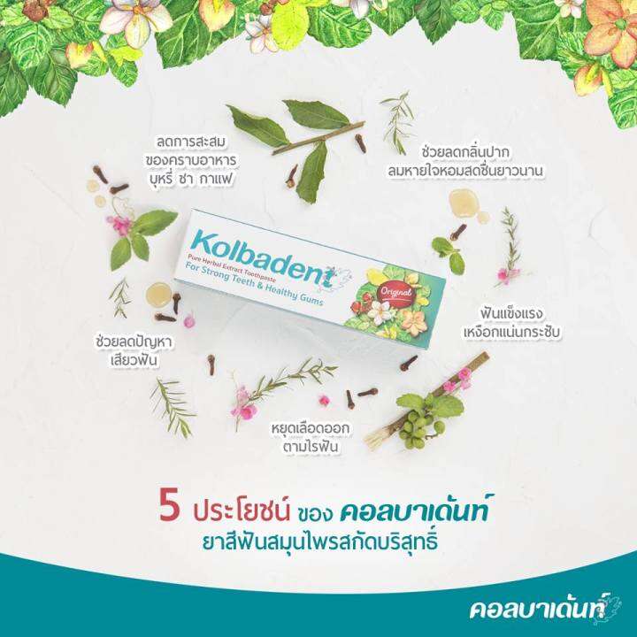 kolbadent-ยาสีฟันสมุนไพรสกัดบริสุทธิ์-คอลบาเด้นท์-ขนาด-35-กรัม-แพค-12-กล่อง