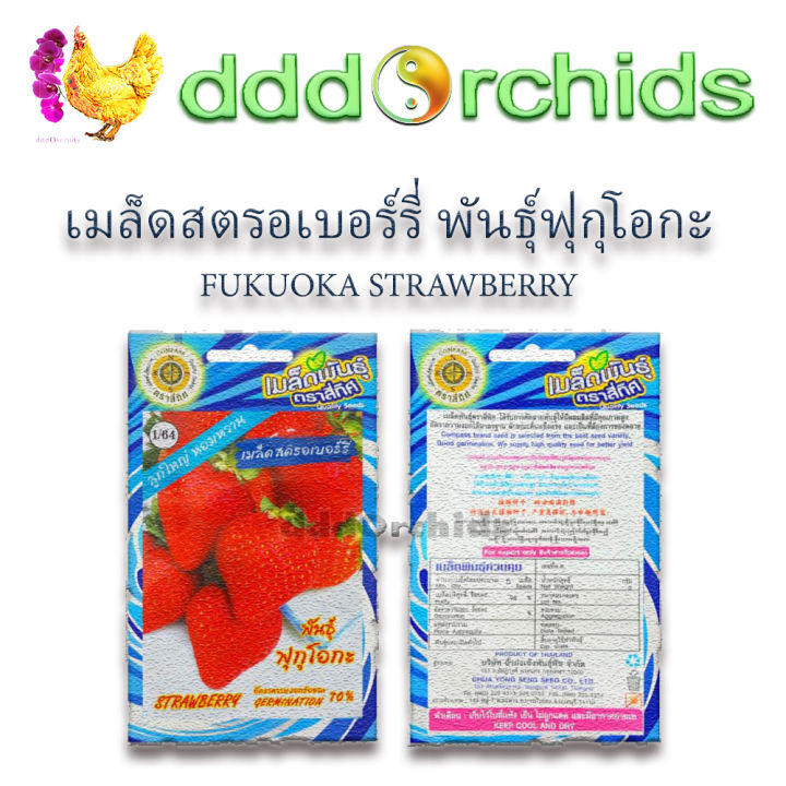 เมล็ด-สตรอเบอร์รี่-พันธุ์-ฟุกุโอกะ-fukuoka-strawberry-ตราสี่ทิศ-ขนาด-1-ซอง-บรรจุ-5-เมล็ด-จำหน่ายโดยร้าน-dddorchids