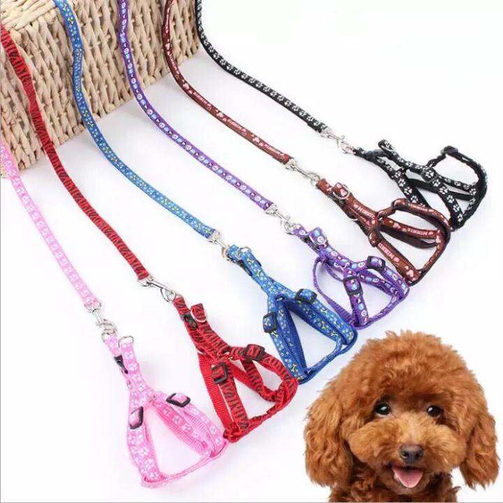[COD] Pet Dog Cat Harness Leash(Small) Lazada PH