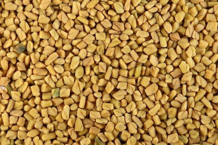 Methi Seeds (fenugreek) 100g เม็ดลูกซัค 100 กรัม