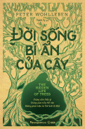 Sách - Đời sống bí ẩn của cây - Phương Nam Book