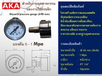 PRESSURE GAUGE 1 Mpa, 2.5 Mpa, 4 Mpa, 6 Mpa, 10 Mpa, 16 Mpa, 25 Mpa, 40 Mpa