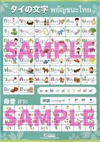 KS Language タイ文字ポスター โปสเตอร์พยัญชนะไทย TAIMOJI Posters **จัดส่งแบบพับ**