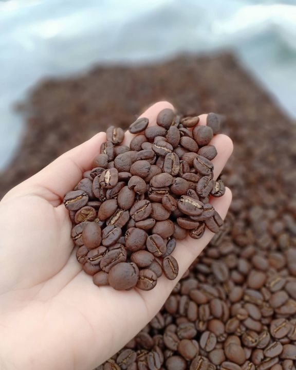 กาแฟสดดริปสำเร็จรูป-drip-fresh-coffee-คั่วกลาง-full-city-phahee-mountain-view-coffee-กาแฟผาฮี้-พันธุ์อราบิก้า-100-singel-origin-แบบกล่อง