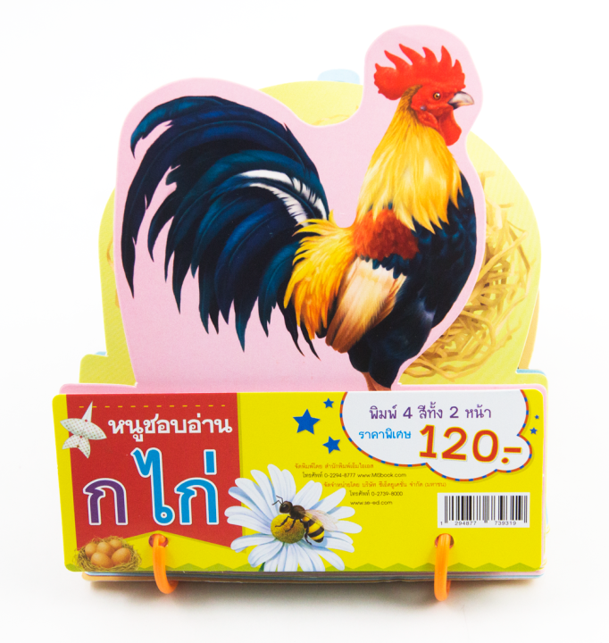 การ์ดหนูชอบอ่าน-ก-ไก่-สันห่วง