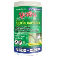 บูเวริน คือ เชื้อรา บิวเวอร์เรีย บัสเซียน่า ขนาด 500g (Beauveria bassiana) ที่ถูกผลิตให้อยู่ในรูปผงละลายน้ำเข้มข้นแบบพร้อมใช้