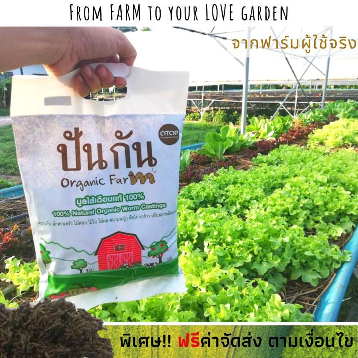 ฟรีค่าจัดส่ง-ชุดฟื้นฟู-มูลไส้เดือน-1กก-น้ำหมักชีวภาพ-เข้มข้นจากมูลไส้เดือน-ขนาด-1ลิตร-แถมฟรี-เมล็ดพันธุ์ผัก-บำรุงพืช-ฟื้นฟูดิน