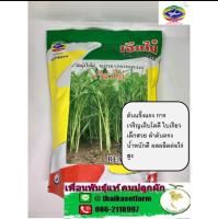 ผักบุ้งใบไผ่ เรียวไผ่ เจียไต๋ (1kg)