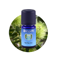 Oshadhi Tea-Tree, m.a. essential oil 10 ml