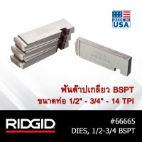 RIDGID ฟันต๊าปเกลียว BSPT ขนาดท่อ 1/2 - 3/4" - 14 TPI เครื่องมือช่าง สำหรับเกลียวท่อ  ประปา