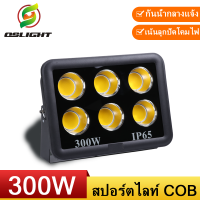 LED Spotlight Flood Light โคมไฟแอลอีดีสปอตไลท์ Spot Light 300W (รุ่นCOB 2019 แบบกลม)