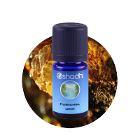 Oshadhi Frankincense carterii essential oil 10ml