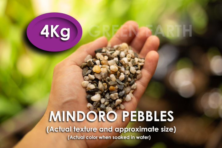 GREEN EARTH MINDORO PEBBLES 7 Colors 4 Kilos . Decorative stones