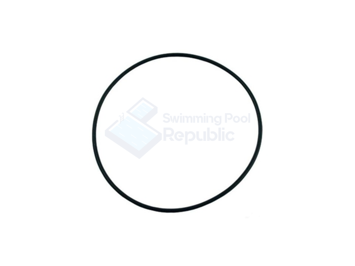 Pentair Easy Clean DE Filter ORing Center Core, Item No.12, Product No