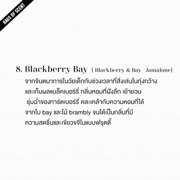 ซื้อชุด-100-ml-แถมชุด-15-ml-ก้านไม้-หอมปรับอากาศ-100-ml-ก้านไม้หอม-ก้านไม้กระจายกลิ่น-อโรม่า-น้ำหอมปรับอากาศ-ปรับอากาศ-ในห้อง-reed-diffuser-by-haus-of-scen