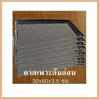 ถาดเพาะต้นอ่อน-10-ใบ-ขนาด-30-x-60-x-3-5-ซม-ร้าน-dddorchids