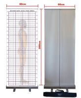 Postural Analysis Grid Chart [ตารางวิเคราะห์โครงสร้างร่างกาย]