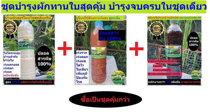 ชุดฮอร์โมนบำรุงผักทานใบครบวงจร-ตั้งแต่เริ่มปลูกไปจนถึงเก็บรับประทาน-ฮอร์โมนไข่-น้ำหมักปลา-จุลินทรีย์สังเคราะห์แสง