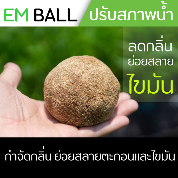 em-ball-ลดกลิ่นน้ำ-บำบัดน้ำเสียผลิตจากหัวเชื้ออีเอ็มคุณภาพ-ย่อยสลายตะกอนและไขมันในน้ำ-ไม่มีอันตรายกับสัตว์น้ำทุกชนิด