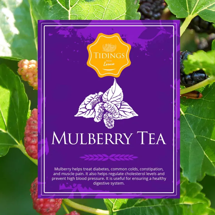 Tidings Herbal Tea "Mulberry Tea" (10 Tea bags) Lazada PH